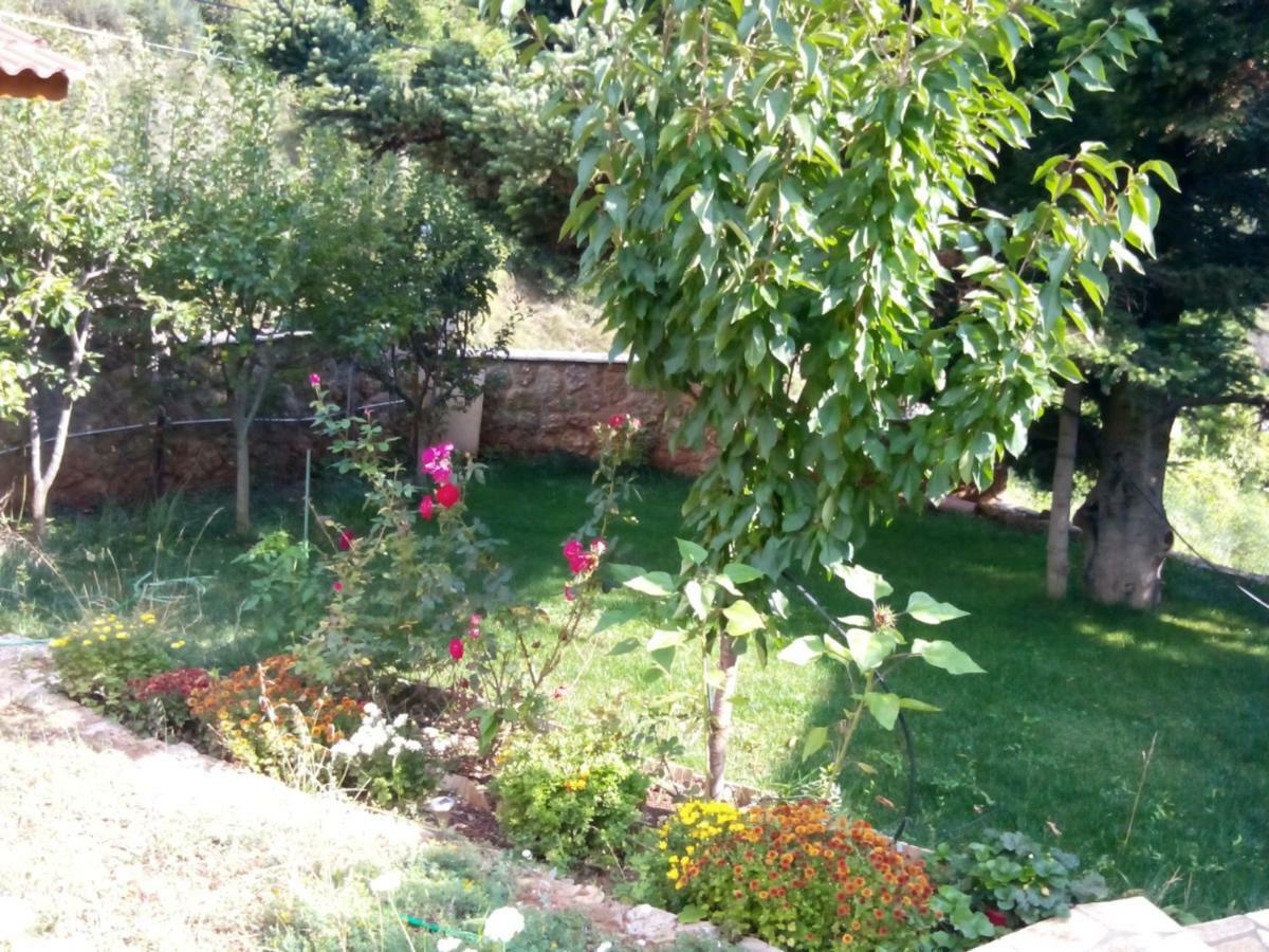 Elatos Cozy Studio Ano Trikala Exterior photo