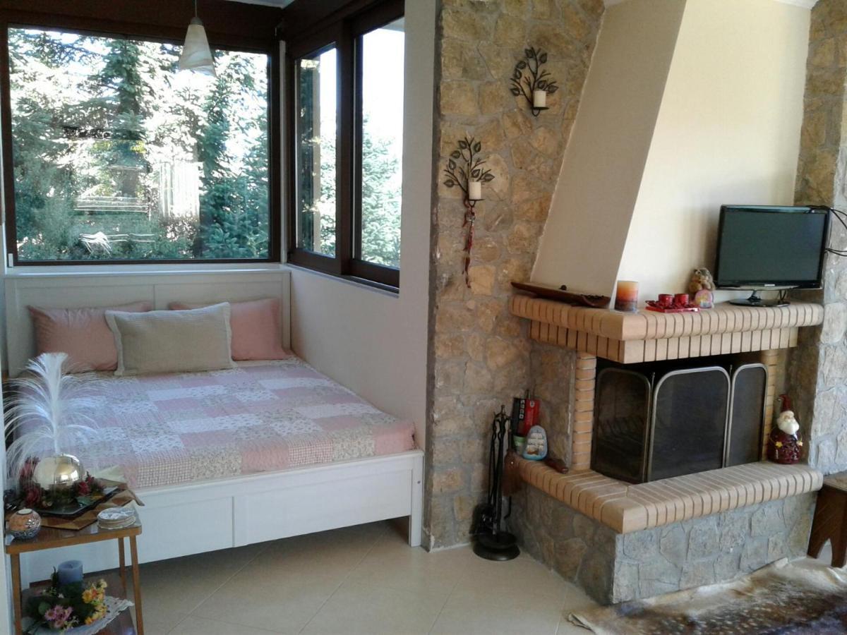 Elatos Cozy Studio Ano Trikala Exterior photo